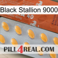 Black Stallion 9000 43